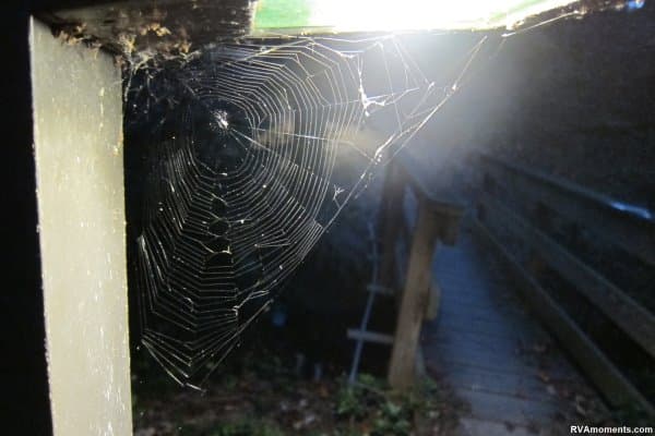 Near Bandy Field (West End)