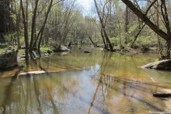 Springtime around Reedy Creek