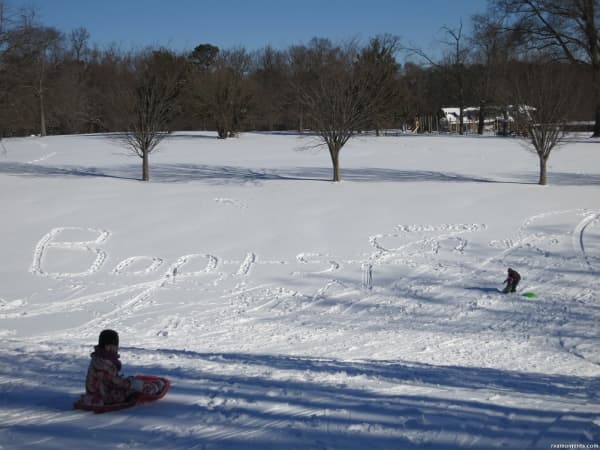 Sledding at Forest Hill