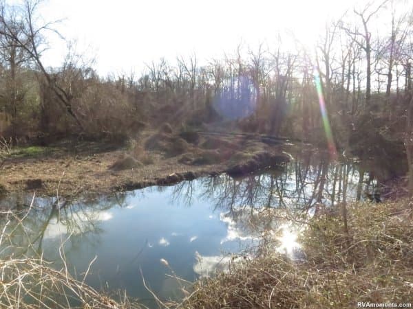 More Bryan Park pictures