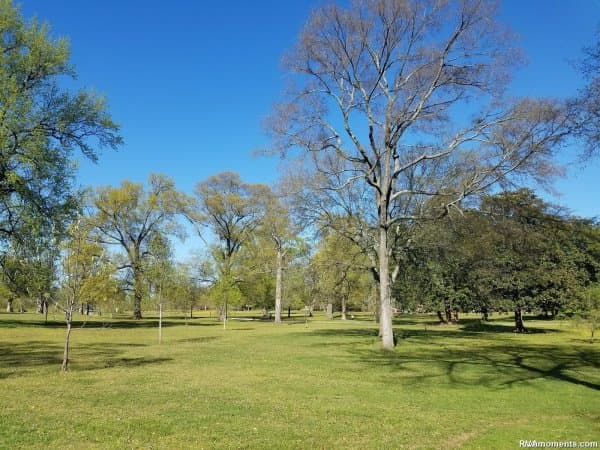 Springtime at Byrd Park