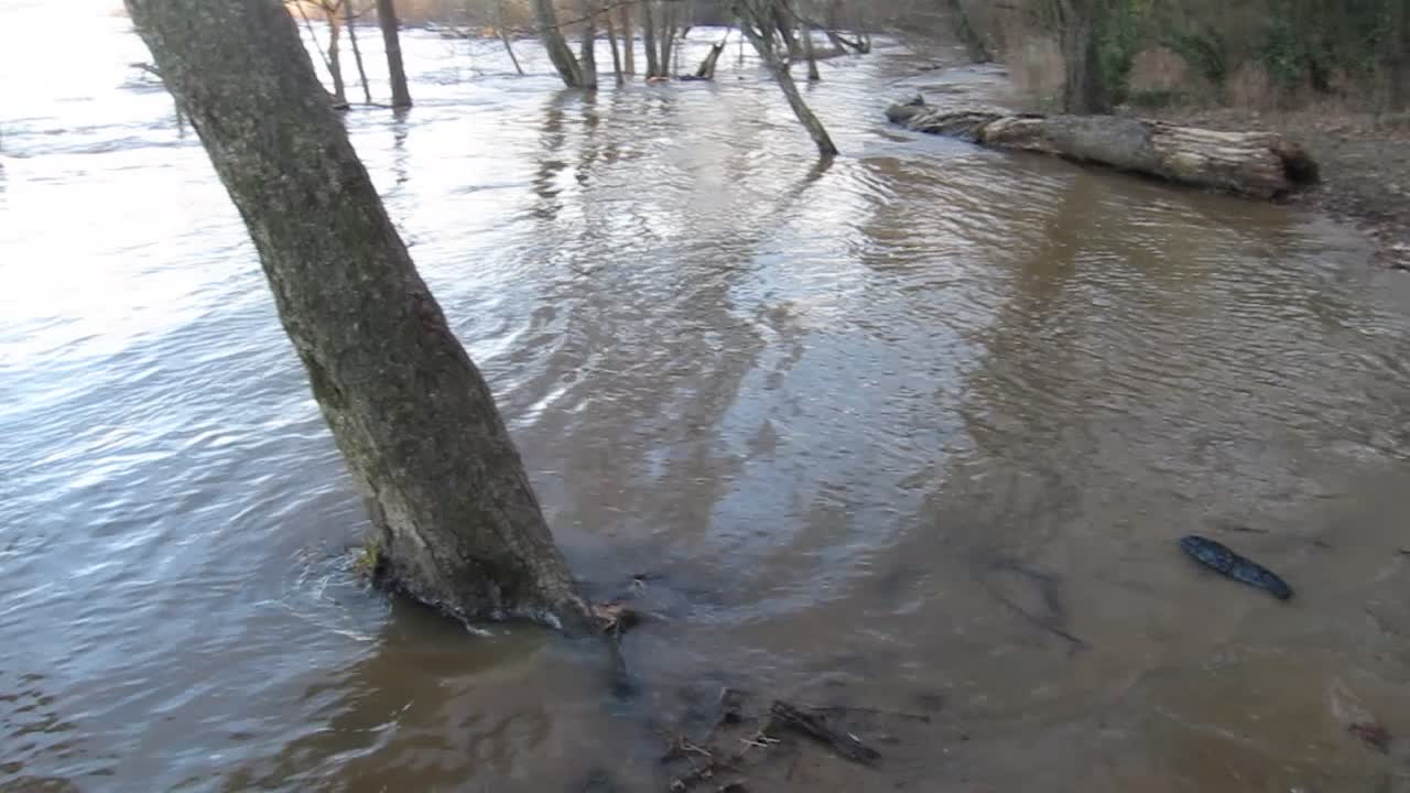 High Water at the river