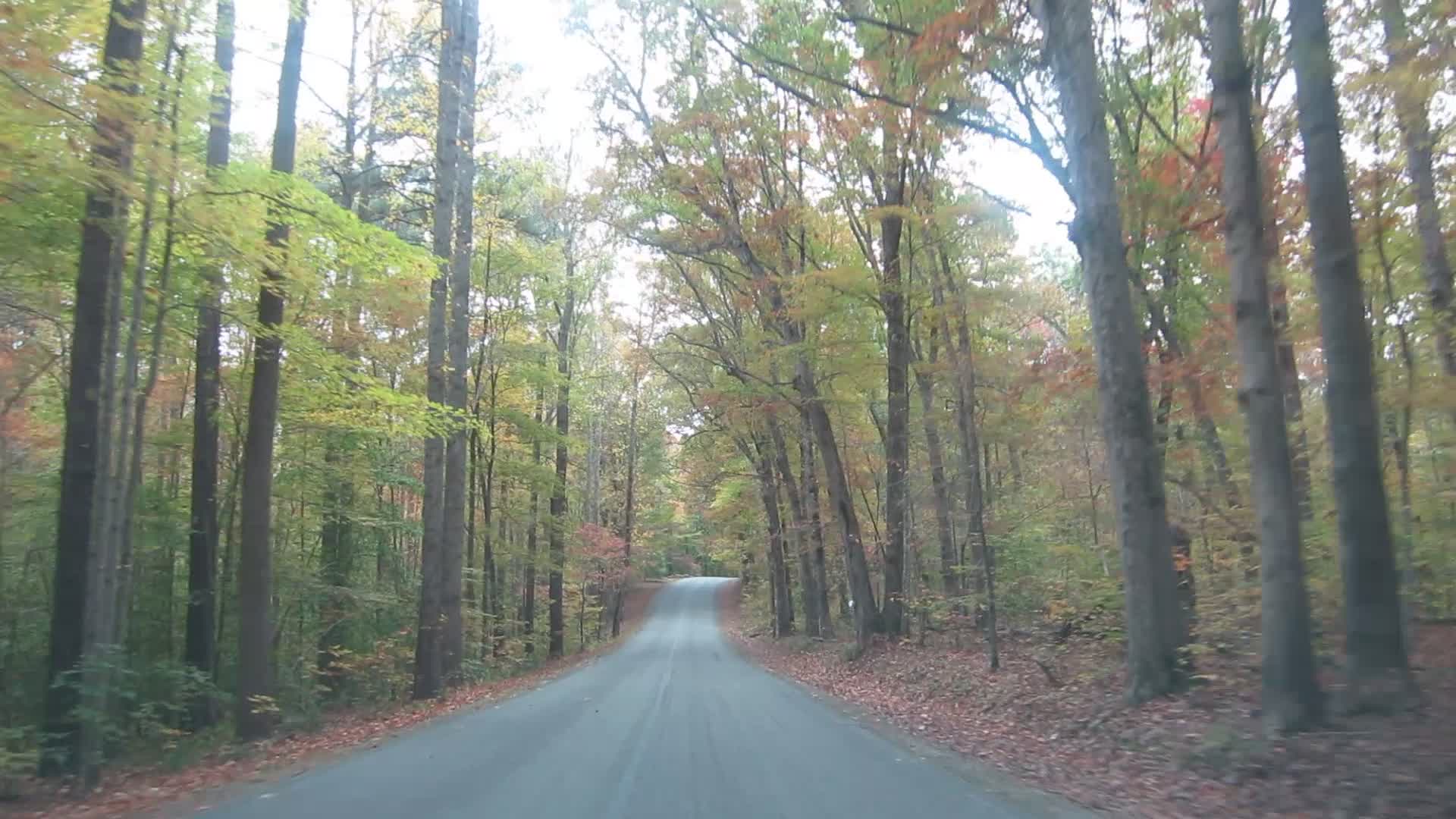 Backroad driving, enjoying the fall colors