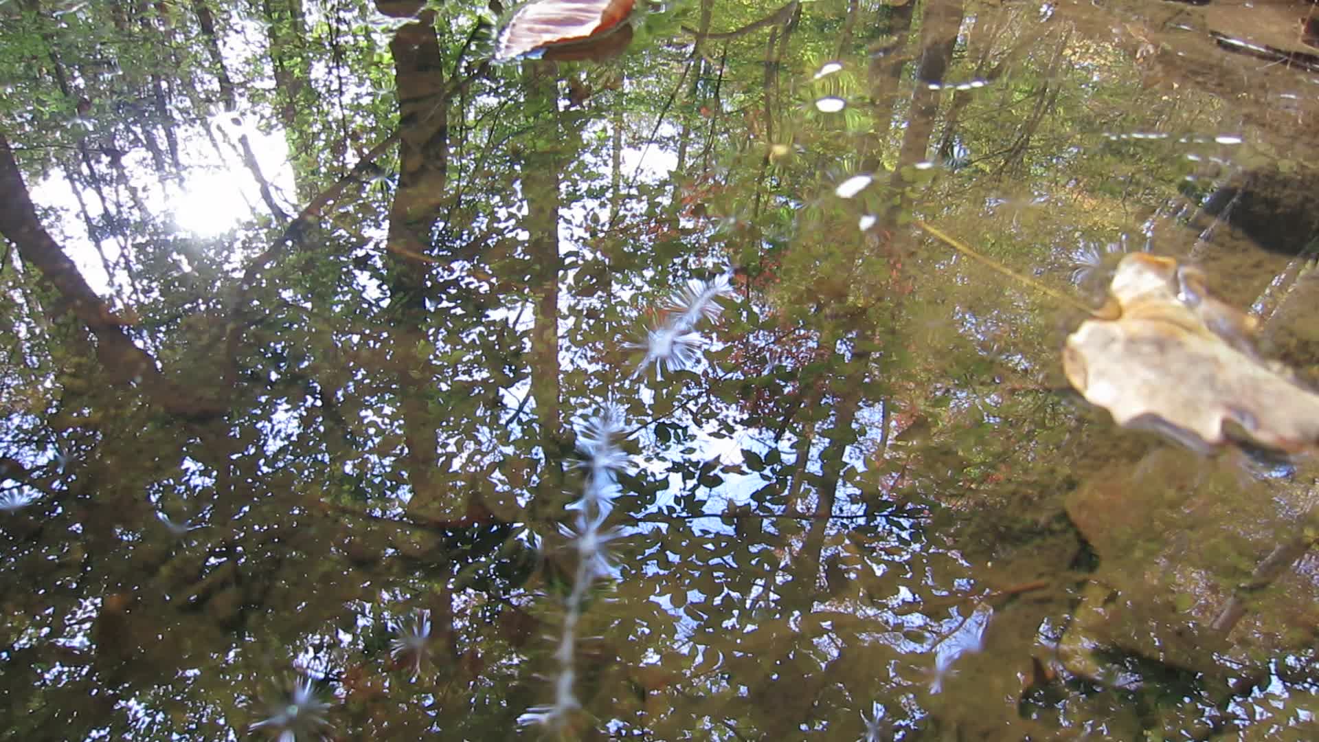 Getting out of town -  Bear Creek State Park