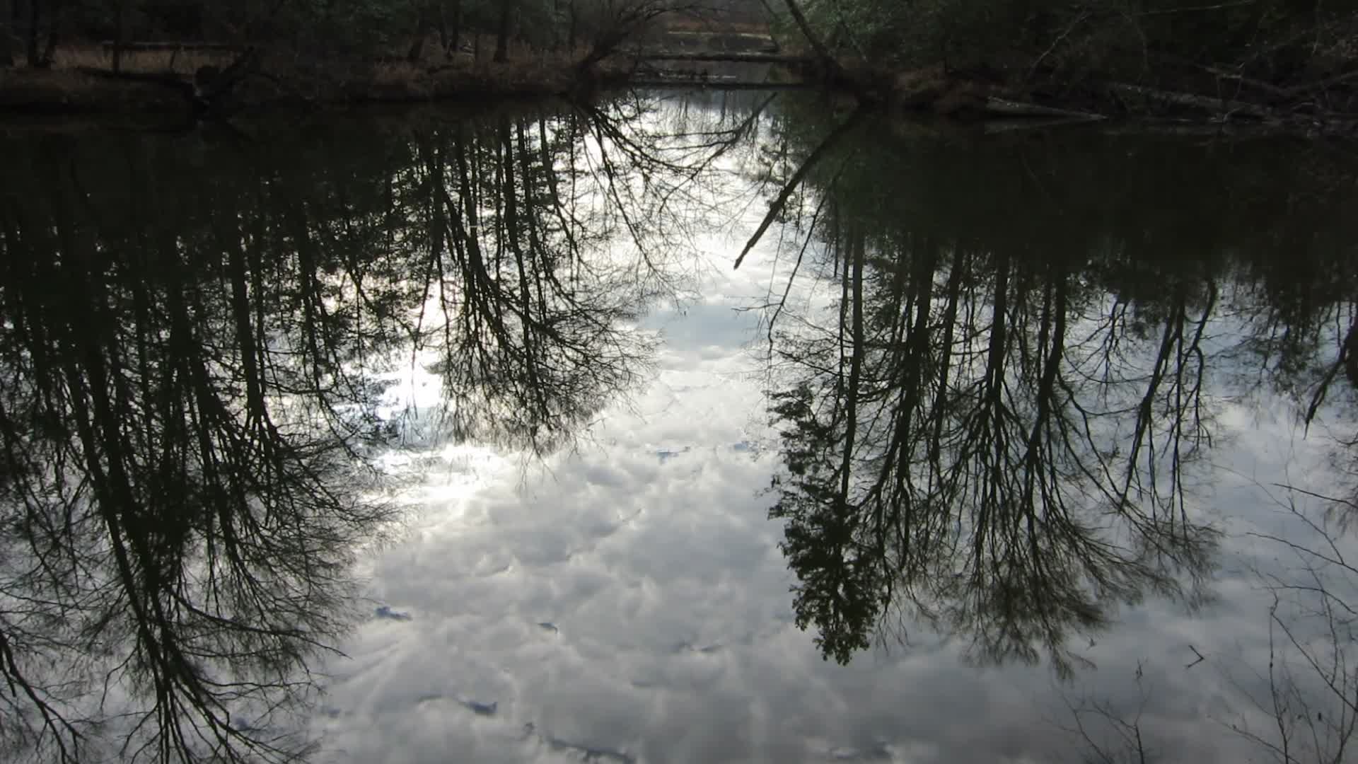 Reflection on pond at Bryan Park