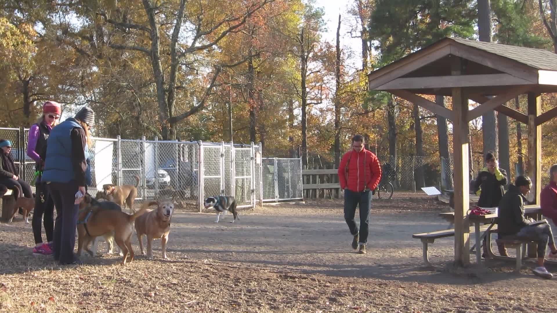 Barker Field Dog Park (extended video)