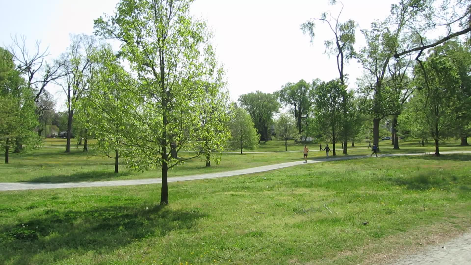 Joggers on the VITA trail (Byrd Park)