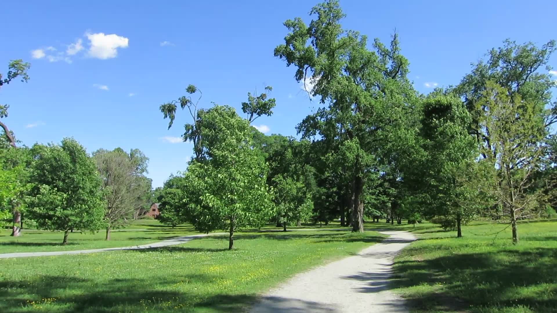 VITA trail (Byrd Park) on a sunny spring day