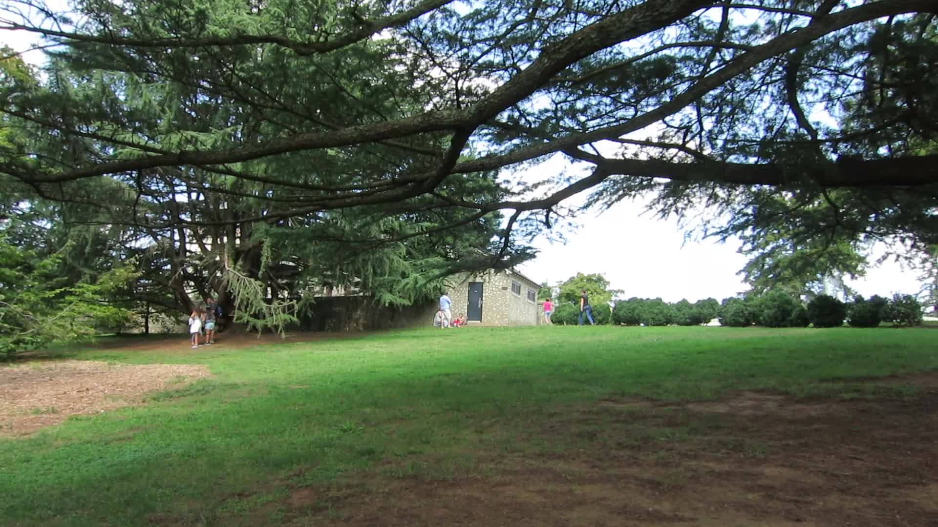 A windy day at Maymont