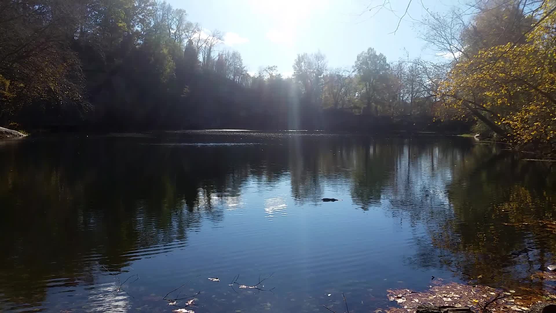 Quarry Pond on Belle Isle