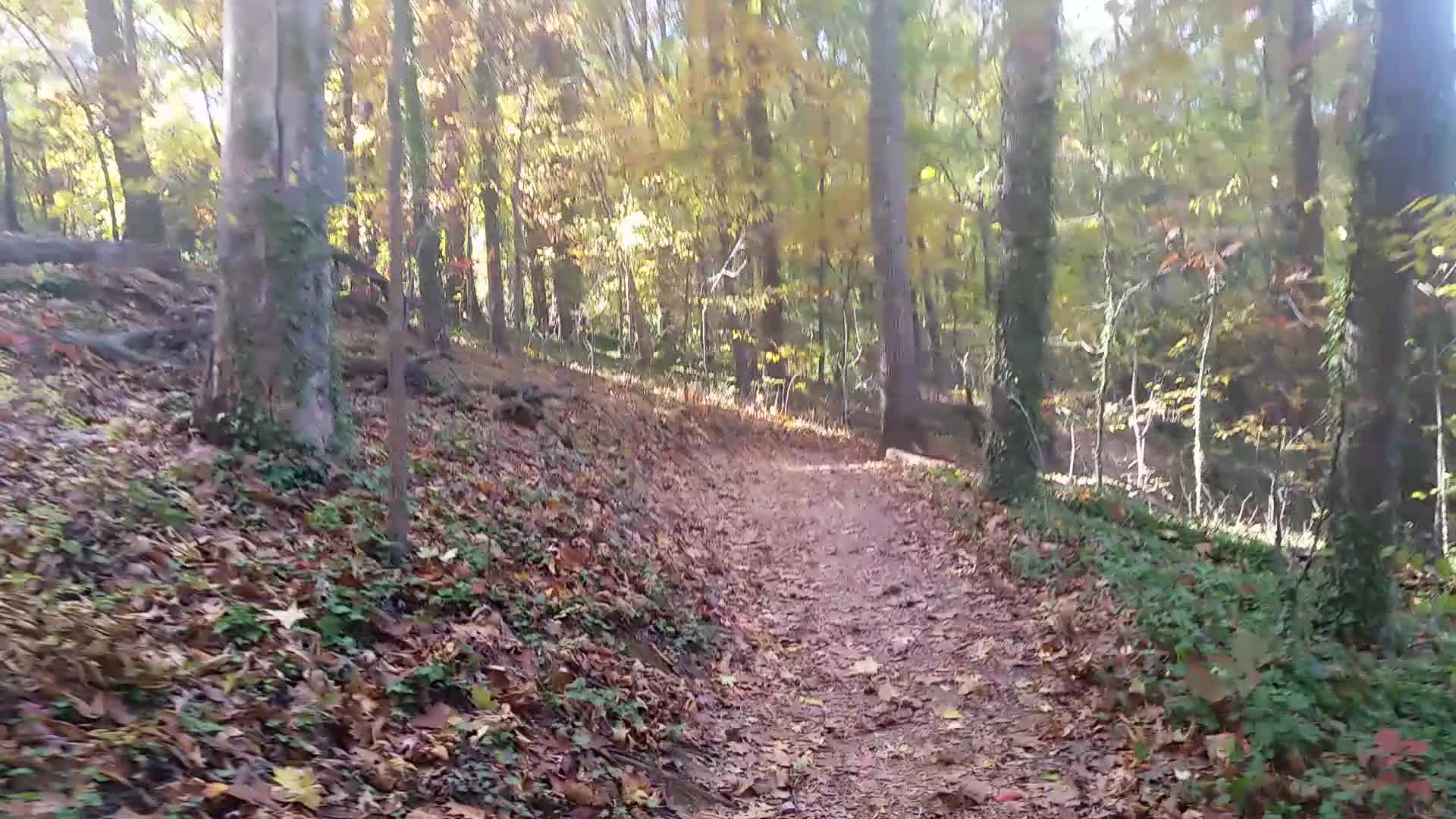 Walking a bit of Buttermilk Trail near Reedy Creek