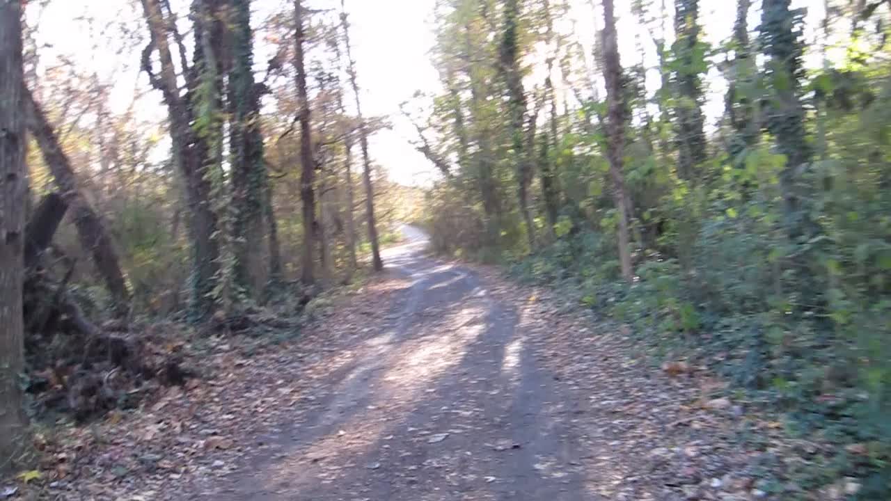 Walking a trail on Belle Isle and across the footbridge