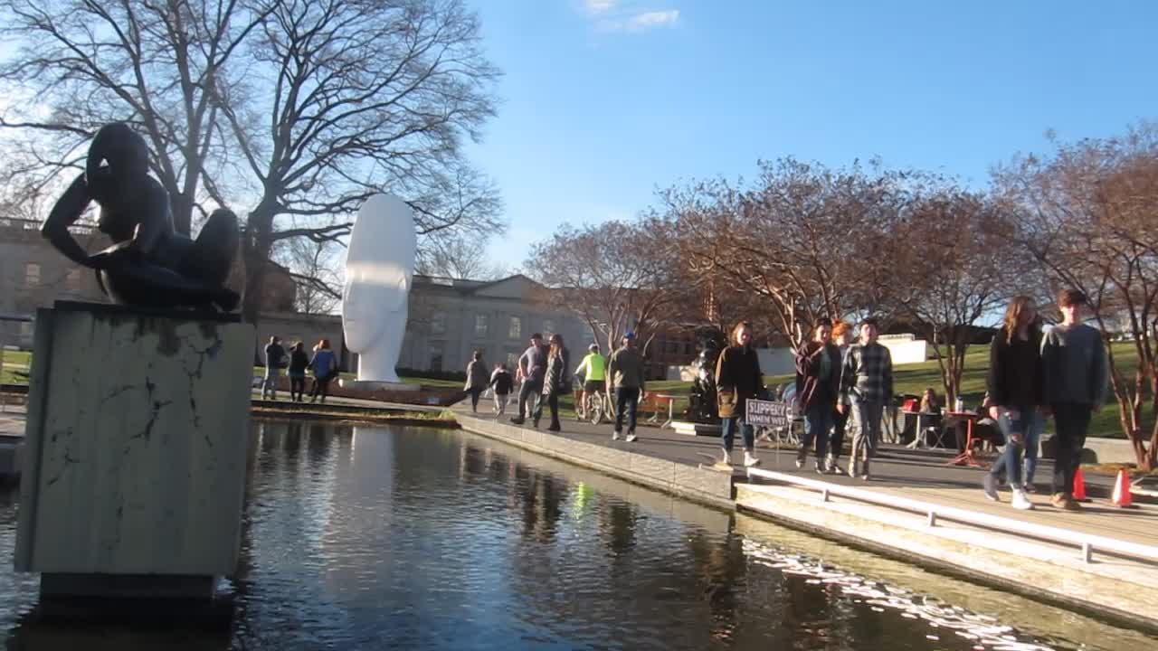 Busy at the VMFA gardens